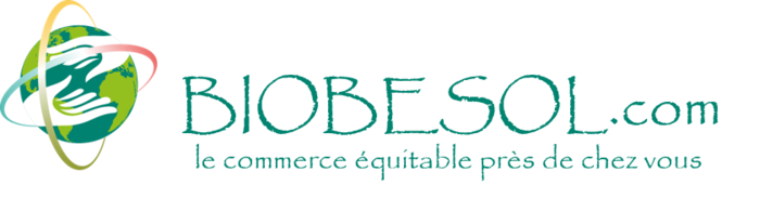 Logo boutique pc 1